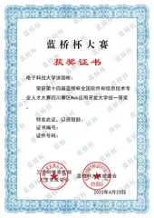 Blue Bridge Cup · Sichuan First Prize