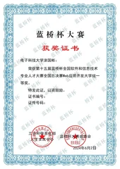 Blue Bridge Cup · National First Prize