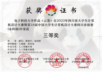 Collegiate Computing Competition · Sichuan Third Prize