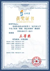 E-Commerce Innovation Challenge · University Third Prize